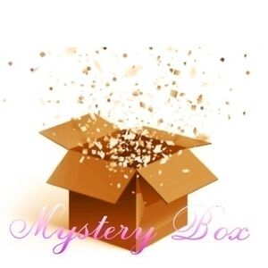 Worth Retail $200 NWT Mystery Box
